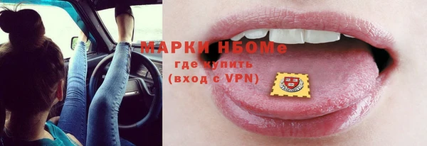 стафф Бородино
