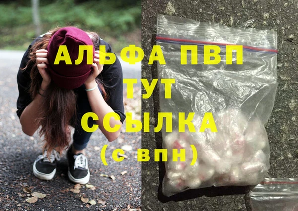 стафф Бородино